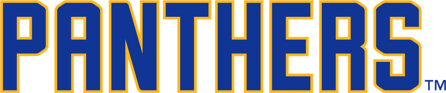 Pittsburgh Panthers 2019-Pres Wordmark Logo v3 diy DTF decal sticker